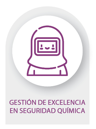 2.ICONO GESTIÓN DE EXCELENCIA EN SEGURIDAD QUÍMICA